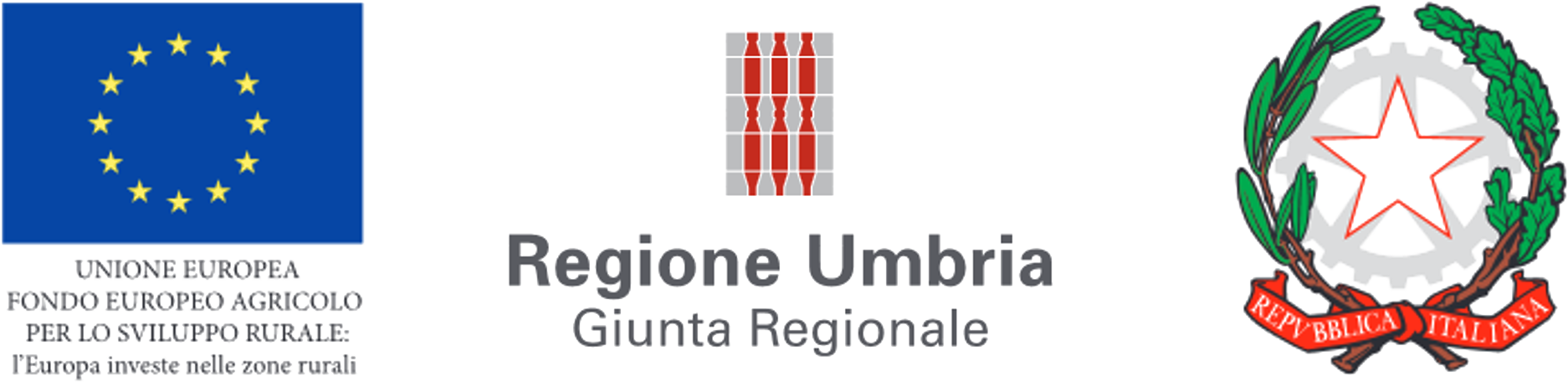 Finanziamento dell'Unione Europea per investimenti nelle zone rurali